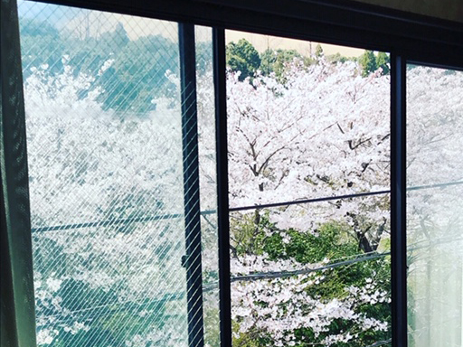 大分ラブホテル ホテルアルファB（アルファビー）4階部屋眺め